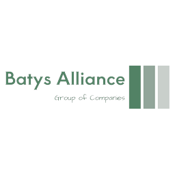 Логотип Batys Alliance